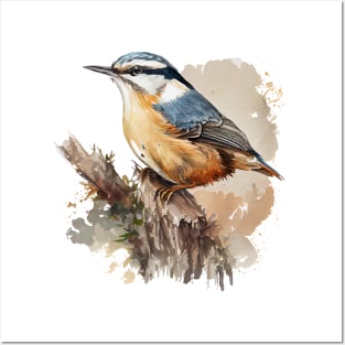 Nuthatch Bird On A Tree Branch 6.0 Posters and Art
